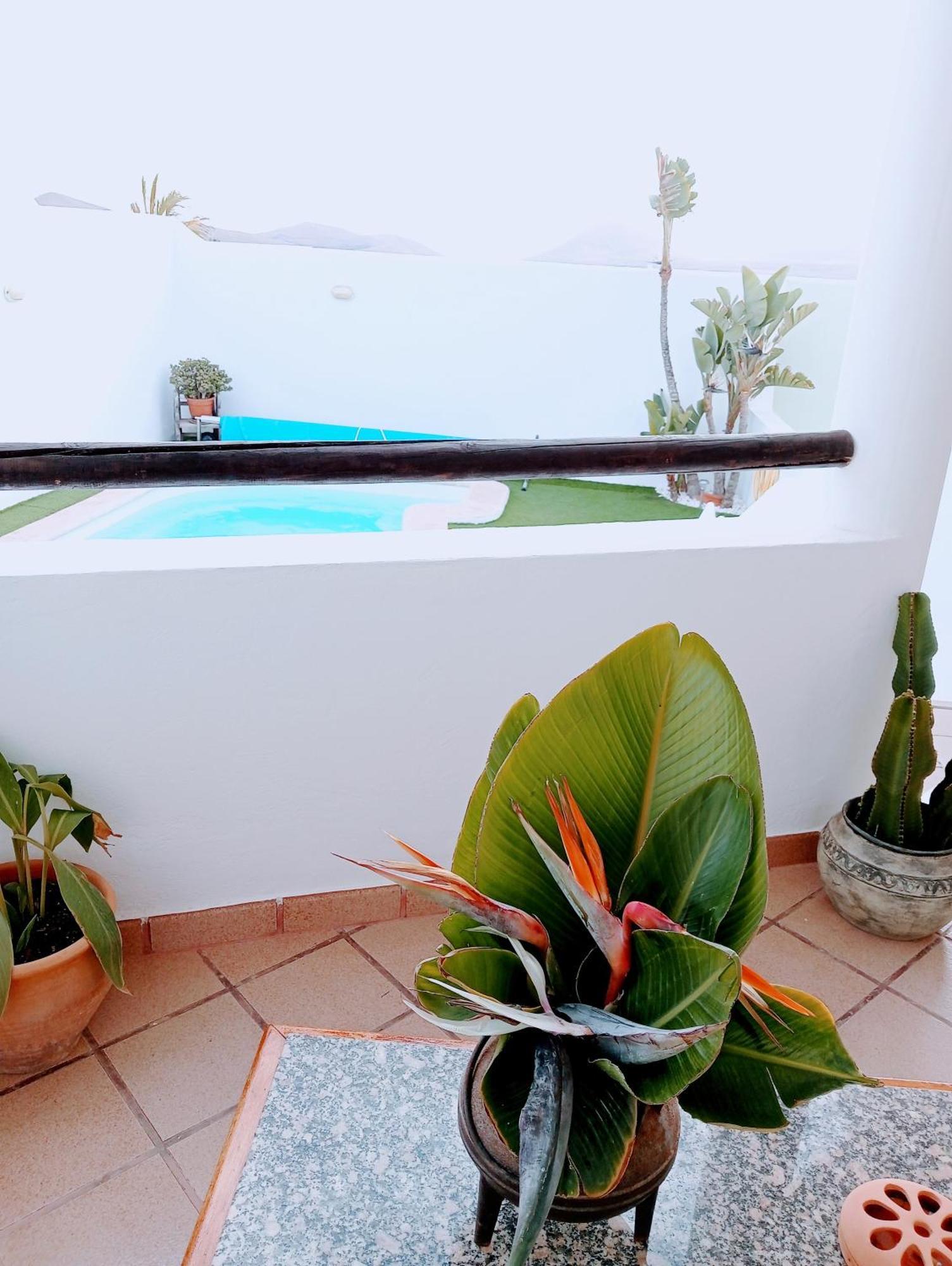 Casa Strelitzia Villa Nazaret Exterior photo